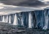 Origines : des photos saisissantes documentent les vues des efforts de conservation contemporains