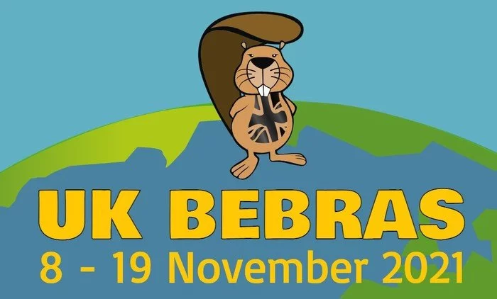 UK Bebras Computational Thinking Challenge