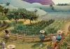 Une publicité émotionnelle en stop-motion suit une famille qui revitalise sa ferme biologique
