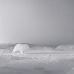 Un ours polaire fait de glace navigue dans un paysage arctique en fusion dans un puissant court-métrage en stop-motion