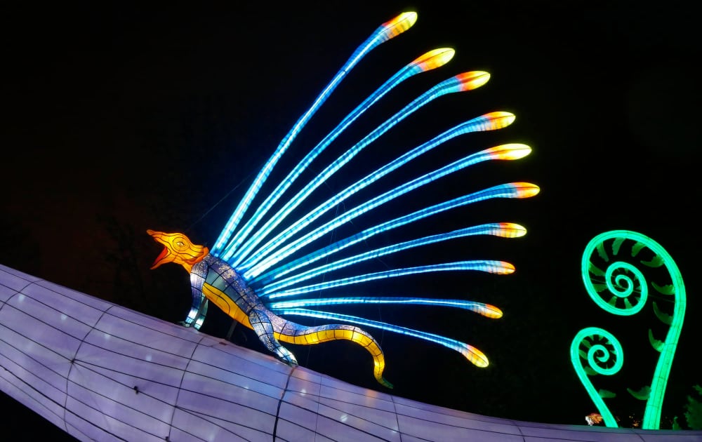 Des dinosaures illuminés parcourent le Jardin des Plantes de Paris dans