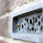 De minuscules trous percés dans des briques fournissent des maisons miniatures pour les abeilles solitaires