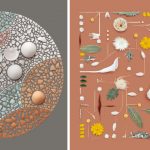 Les objets du quotidien sont organisés en formes géométriques parfaites dans les mises à plat de Kristen Meyer