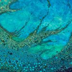 Les sculptures vibrantes d’Amy Genser organisent des rouleaux de papier mûrier en topographies denses