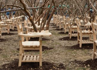 Des arbres jaillissent de 100 bureaux élémentaires dans l’installation de Hugh Hayden Adressant les disparités de l’éducation publique
