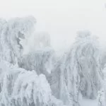 Des formations de glace spectaculaires imitent des créatures surnaturelles gelées dans les montagnes du Harz