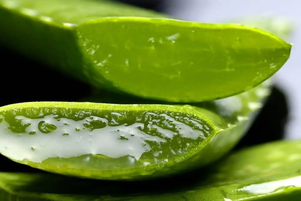 Aloe vera. Qu’est-ce que c’est et quelles sont ses propriétés ?