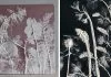 Les bas-reliefs de Rachel Dein préservent les contours souples des herbes, des fleurs et des plantes