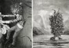 Les arrangements floraux incitent à des actions triviales dans les dessins méticuleux au graphite d’Ethan Murrow