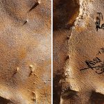 Cinq dessins rupestres préhistoriques découverts en Alabama sont les plus grands découverts en Amérique du Nord