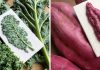 Le chou frisé fibreux, le brocoli et les haricots poussent à partir de broderies tridimensionnelles incroyablement réalistes